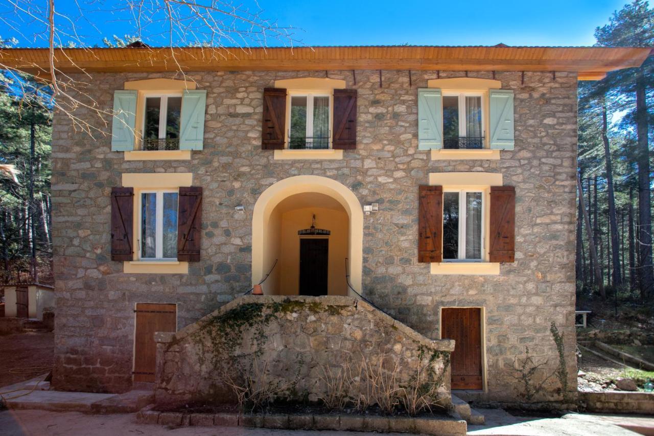 11 Hôtels Centraux en Haute-Corse : Le Guide d'Achat